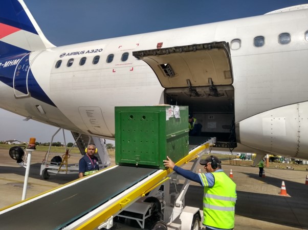 Avião Solidário da LATAM transporta gratuitamente de São Paulo para