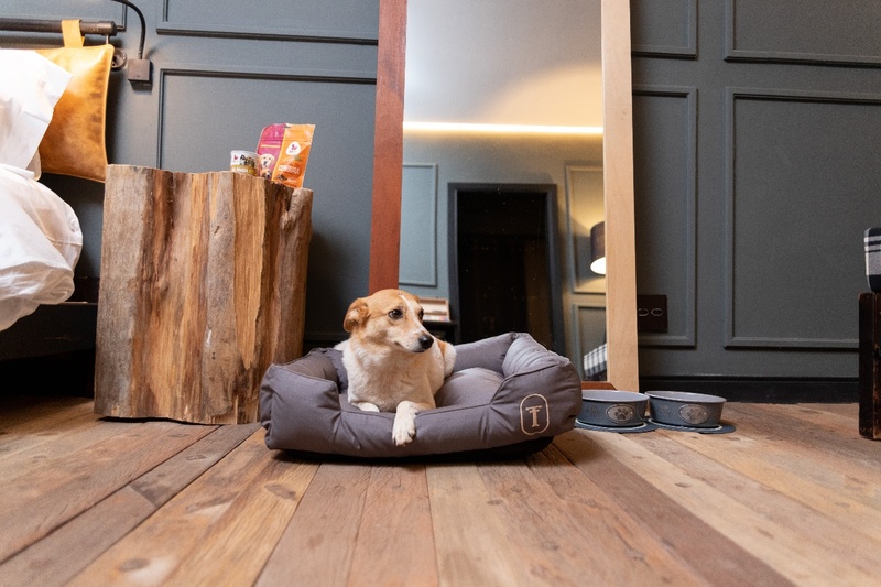 Hotel Ort: Destino para viagens inesquecíveis com seu companheiro de quatro patas