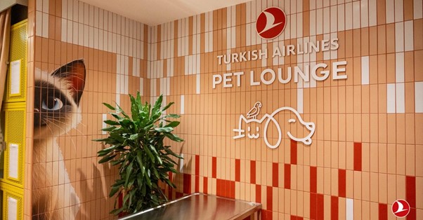 Turkish Airlines apresenta exclusivo Pet Lounge e novos serviços para passageiros