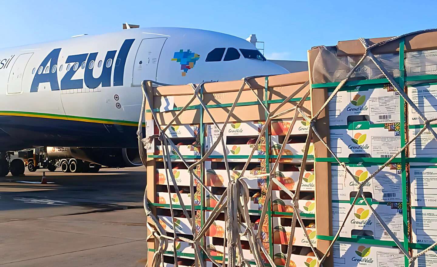 Azul Cargo transporta 100 toneladas de frutas para Portugal em apenas um mês