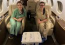 Dra. Paula Martins e instrumentadora Cristiane Napolitano do Hospital São Luiz Itaim / Rede D'Or - responsáveis pelo transporte do coração para São Paulo