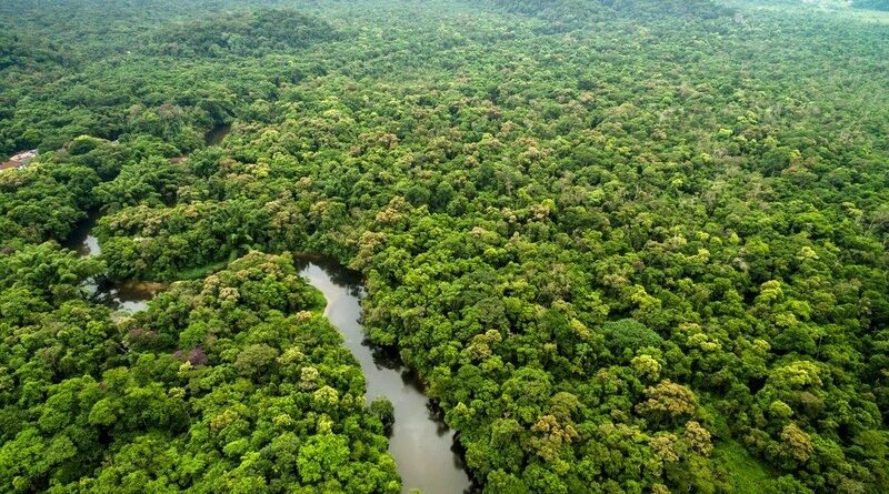 amazonia