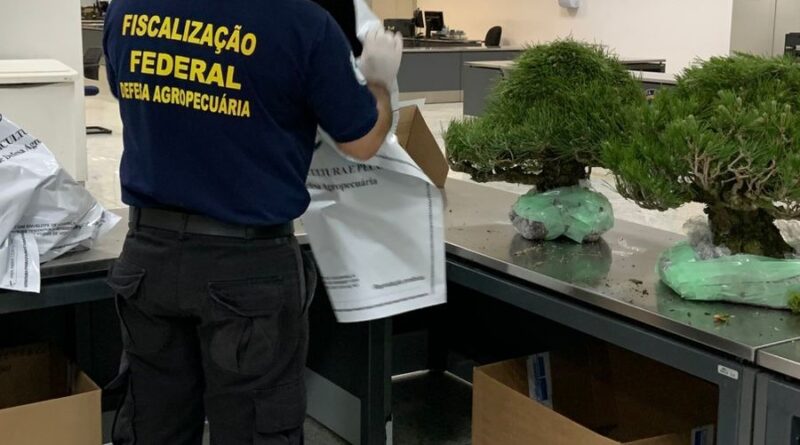 Fiscalização